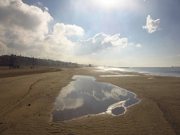 Brighton, Brighton And Hove, East Sussex, Southeastern England, United Kingdom, Britain, Europe - 16th March 2024: On a pleasant day in the coastal city of Brighton and Hove, people relish the enjoyable British weather as they stroll along the seafront in East Sussex, England. This charming seaside town in the United Kingdom offers a delightful European experience.Brighton Beach & The Brighton Palace Pier, Brighton And Hove, East Sussex, Southeastern England, United Kingdom, Britain, Europe - 16th March 2024: On a typical English winter day in Brighton and Hove, the shore of Brighton Beach meets the waters where the English Channel and the Atlantic Ocean converge. People stroll along the pebble-strewn beachfront, enjoying the view of the ocean.