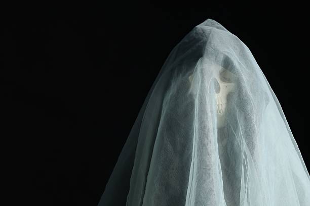 Creepy ghost. Skeleton covered with white sheet on black background, space for text