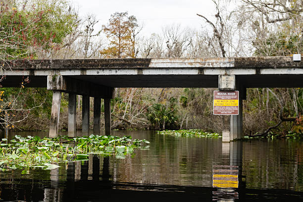 Spanish Moss Bridge in Tranquil Park Setting, Historic Stone Bridge Beneath Moss-Draped Oak Trees, Serene Waterfront Path with Overhanging Moss
