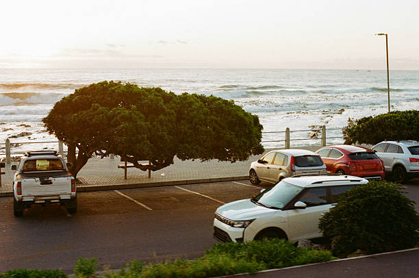 Cars parked near ocean waves with a wind blown tree at sunset in Cape Town, Western Cape, South Africa