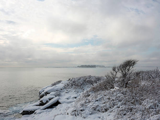 Shoreline tree and thawing Lake Manitoba