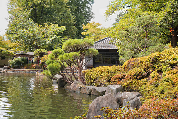 Japanischer Garten (Japanese Garden) during a summer season in Kaiserslautern, Germany.