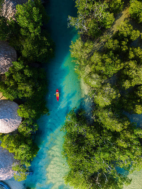 Explore the serene mangroves of Koh Phayam Island with a kayak adventure