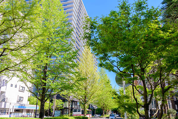 Walking in Sendai, the city of fresh greenery