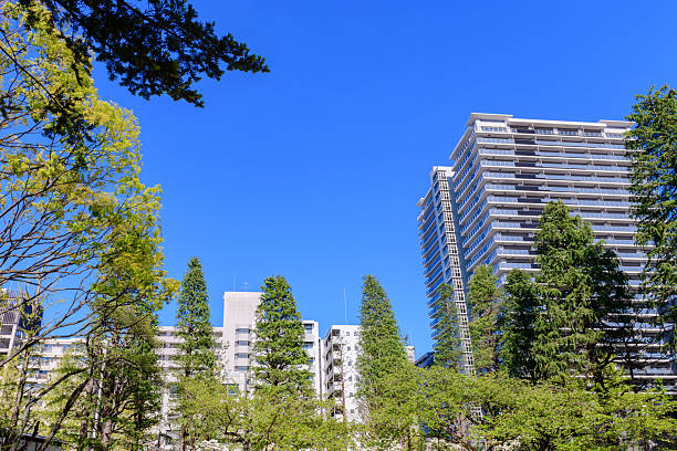Walking in Sendai, the city of fresh greenery