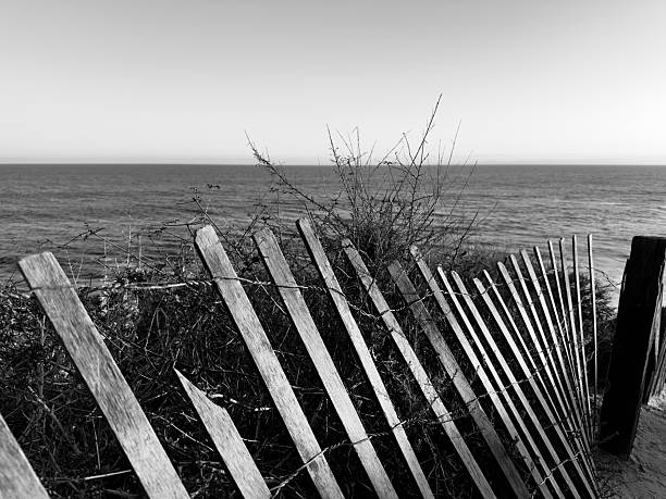 A failing fence line along a trail on the bluffs above Crystal Cove in black and white.