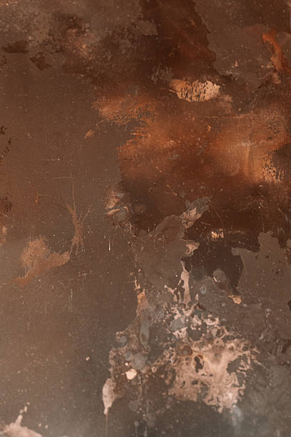 Natural tree wood texture with fine grains.