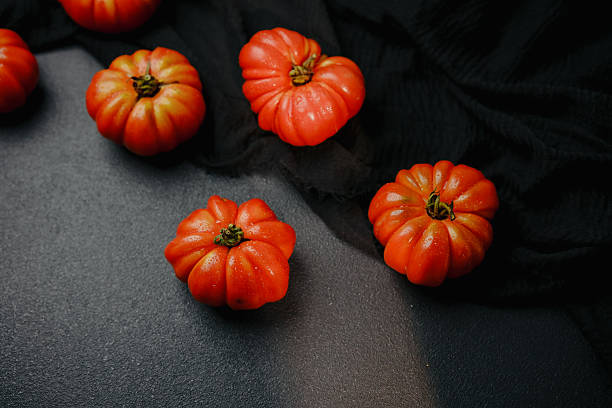 Heirloom tomatoes with water drops on dark stone and black fabric background