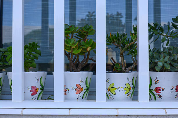 Window with flowers