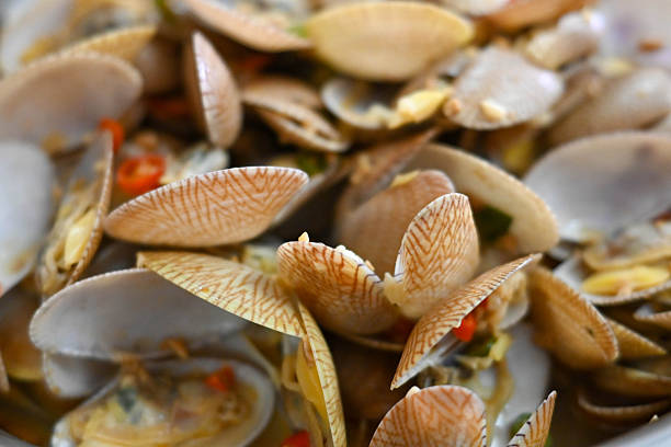 A close-up presentation of tender saltwater clams with thin, oblong shells, cooked in savory oyster sauce with aromatic ginger, garlic, and onions.