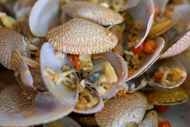 Fresh saltwater clams featuring delicate, oblong shells, stir-cooked in rich oyster sauce and enhanced with ginger, garlic, and onions.