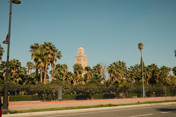 Koutoubia Mosque minaret standing tall above lush green palm trees against a clear blue sky in Marrakech, Morocco