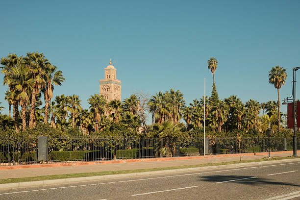 Koutoubia Mosque minaret standing tall above lush green palm trees against a clear blue sky in Marrakech, Morocco
