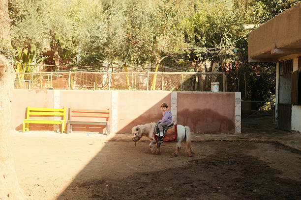 Young child experiencing a fun pony ride outdoors under the sun in a rural setting, enjoying childhood adventure