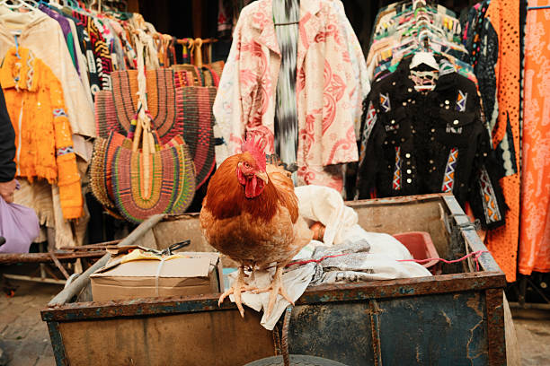 Rooster standing on a rustic market cart filled with items, with colorful traditional clothing and bags hanging in a lively souk