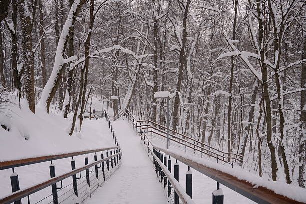 View of stairs going down in a forest park in winter, snow, white