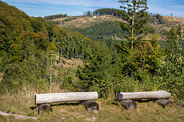 Two rustic wooden benches made of logs placed in mountain meadow with forest hills in background. Peaceful resting place in natural environment.