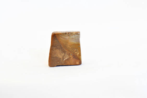 A detailed macro shot of a square-cut, polished wood opal mineral specimen showing natural petrified wood patterns and earthy brown tones, isolated on a white background.