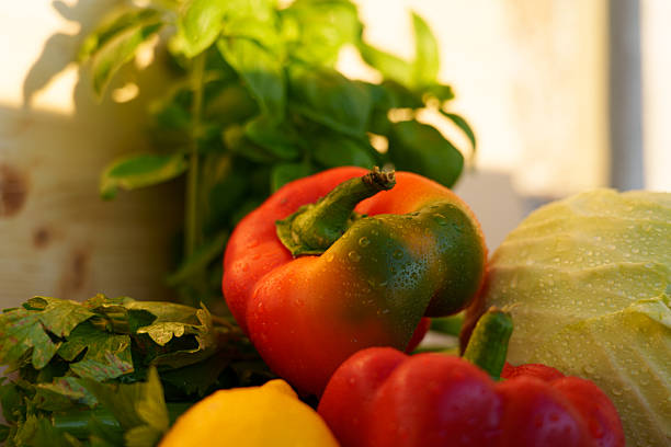Fresh vegetables with olive oil