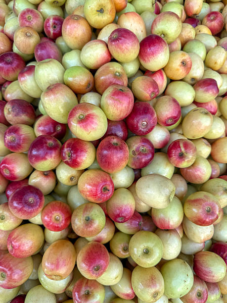 Ripe indian jujube fruit in local street market.