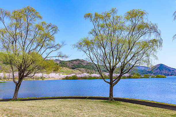 Spring at Shichikashuku Dam Park, Mt. Zao