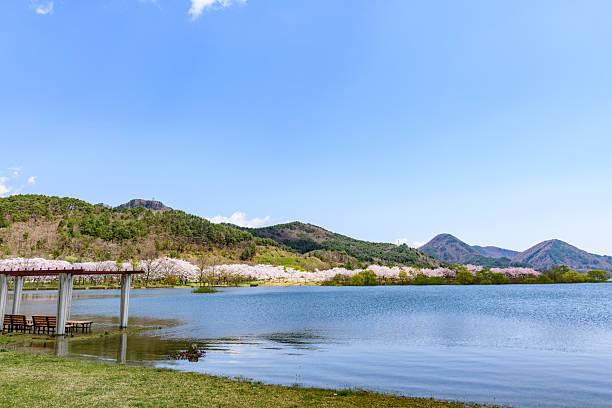 Spring at Shichikashuku Dam Park, Mt. Zao