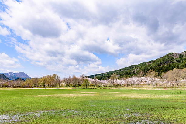 Spring at Shichikashuku Dam Park, Mt. Zao