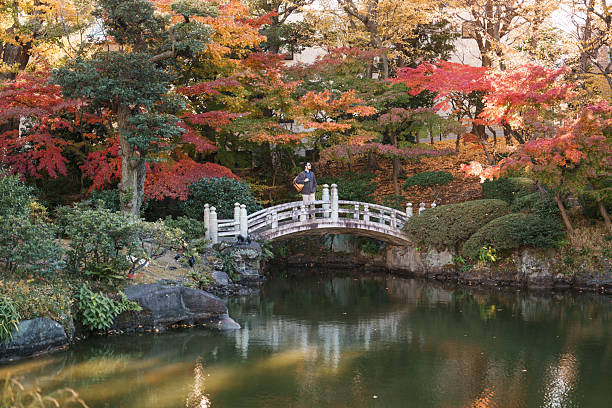A man walking across a stone bridge in a public park during autumn. He is wearing smart casual clothing and carrying a backpack, surrounded by colorful fall foliage, trees, and landscaped greenery. The scene shows a single adult male in a natural urban park environment during daytime, with a pond below the bridge and seasonal atmosphere visible, offering copy space.