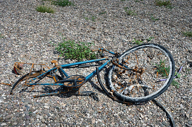 Old, rusty blue bicycle lying on a pebble shore of the Rhine. Concept of environmental pollution, waste, and urban decay in nature