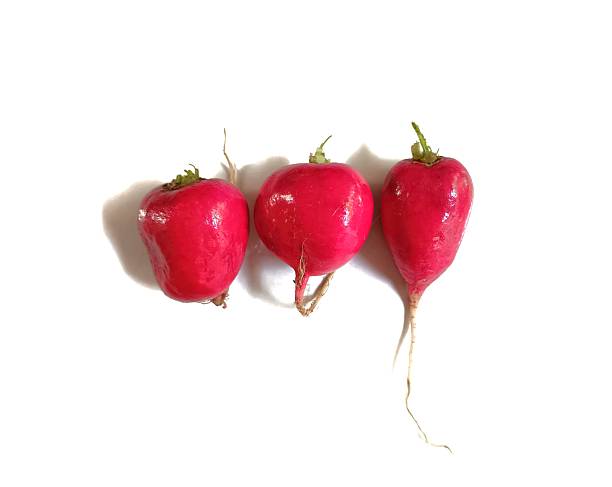 Top view of three red radishes with visible roots, isolated on white background. Natural vegetable composition highlighting freshness, organic farming, and clean healthy food.