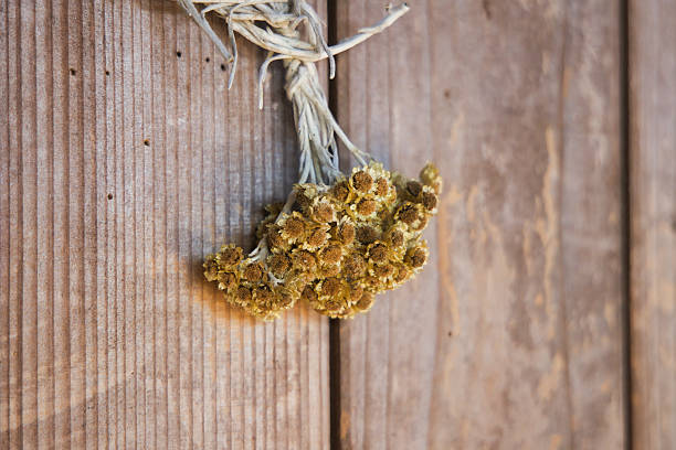 Beautiful dried flower wreath hanging on the wall