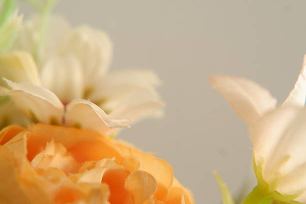 Close-Up of Artificial White and Orange Flowers with copyspace