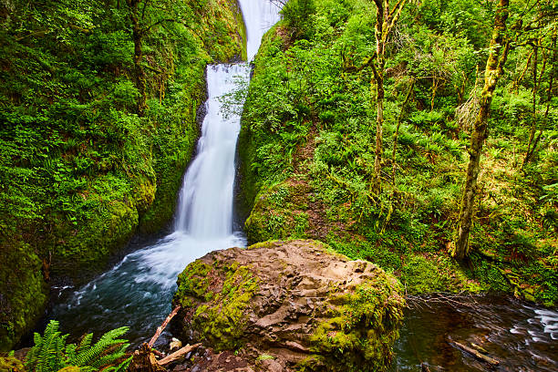 Discover the breathtaking beauty of Bridal Veil Falls in Columbia Gorge, Oregon. This lush forest scene with a striking waterfall and vibrant greenery captures the serene essence of nature.