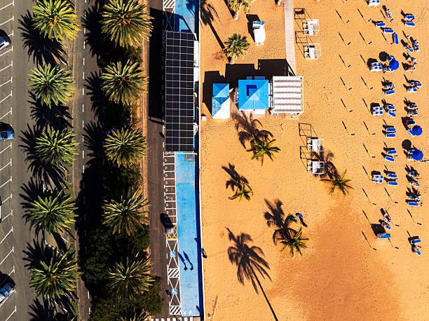 Overhead view of a beach club with palm trees and sun loungers on sand beach, Playa De Las Teresitas, Santa Cruz, Tenerife, Canary Islands, Atlantic Ocean, Spain