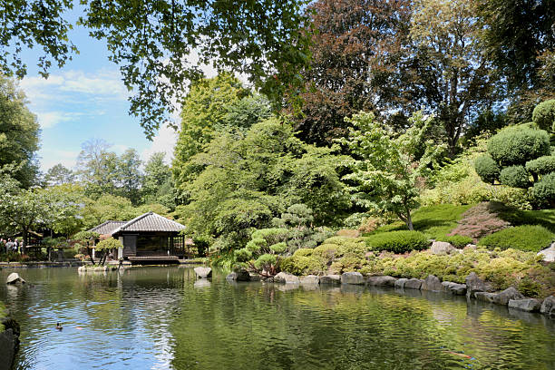 Japanischer Garten (Japanese Garden) during a summer season in Kaiserslautern, Germany.