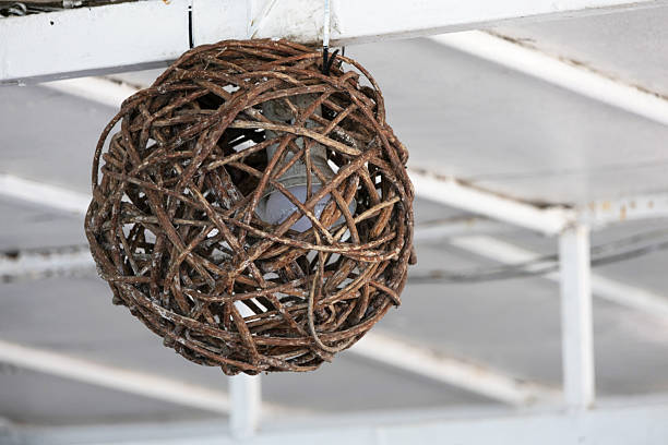 lighting decoration in a cafe for room lighting and decoration.