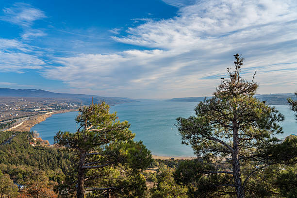 Wide coastal landscape with bay, water surface, and pine trees on hillside under blue sky. Suitable for nature, environment, and travel background use.