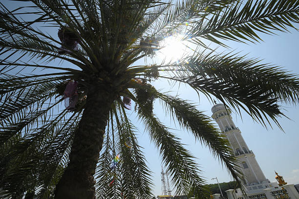 Mosque and churches in Limassol skyline.