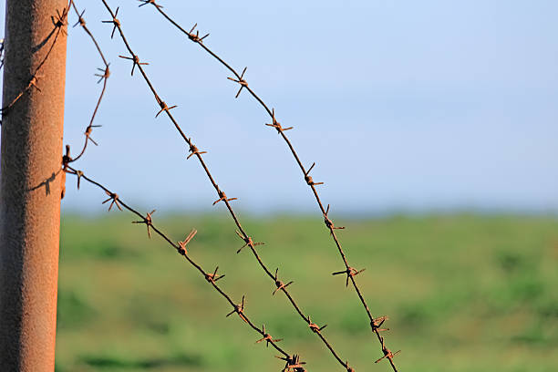 Rusty barbed wire fence close up with brown pole in foreground. Concept of boundary, security, conflict, prison, restriction, limitation.