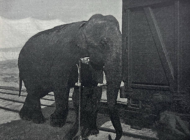 Antique illustration pre 1900 - man leading a circus elephant near a railcar