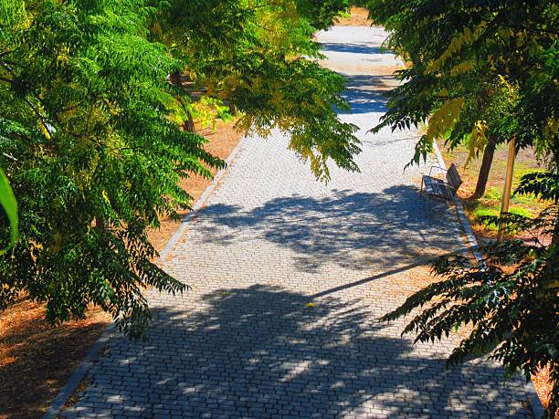 Madrid, Spain - Public park .Autumn landscape.Colorful background of autumn.
