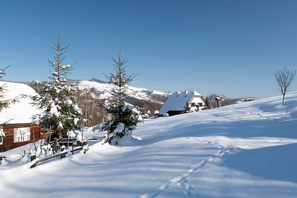 Snow-covered evergreen fir tree standing outdoors in a winter mountain landscape under a clear blue sky. Natural seasonal scene symbolizing winter, cold weather, Christmas, and alpine nature.