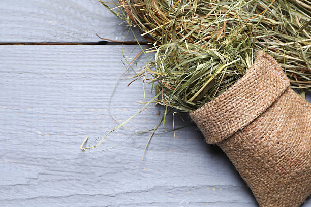 Burlap sack with dried hay on grey wooden table, top view. Space for text