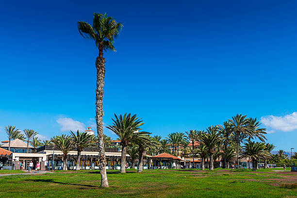 Gran Canaria Island, Spain - 12. October 2026: Many restaurants and pubs at beautiful weather in Maspalomas at Grand Canary Island