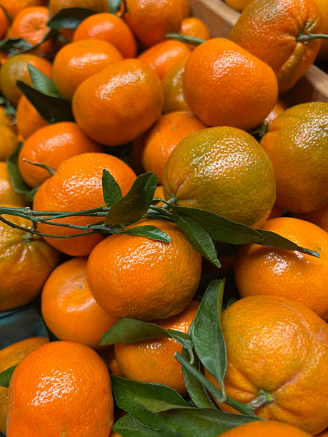 Satsuma Oranges