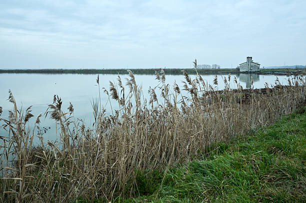 Views of huts and fishing boats in the Romagna lagoon