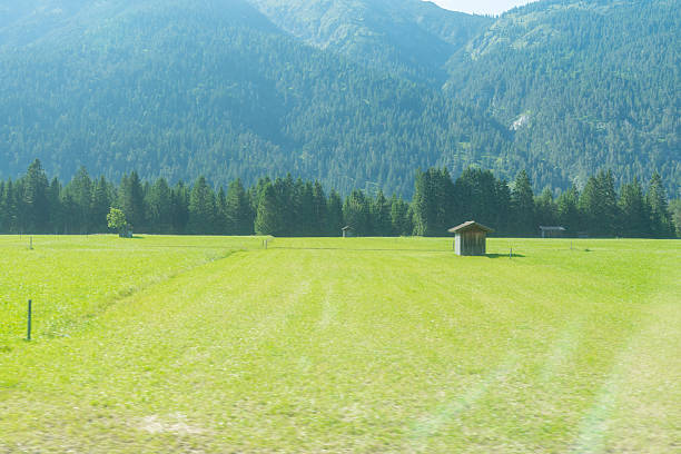 Wide green meadow with mountains and forest in the background. Peaceful alpine landscape representing nature, countryside and outdoor travel.