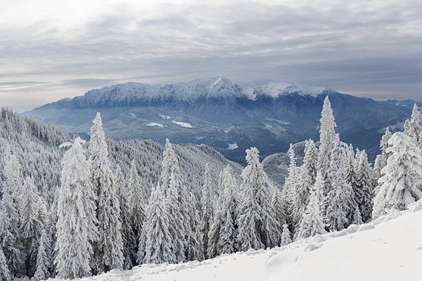 Tall, snow-covered peaks rise majestically against a cloudless blue sky. Evergreen trees surround the scene, showcasing the quiet beauty of winter in the mountains.