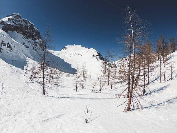 A snowy mountain landscape with sparse trees and a clear blue sky