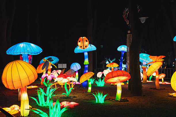 Chinese New Year lantern decorations